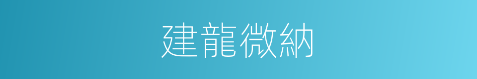 建龍微納的同義詞