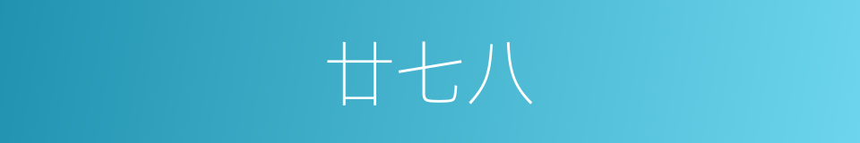 廿七八的同义词