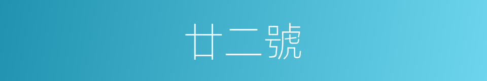 廿二號的同義詞