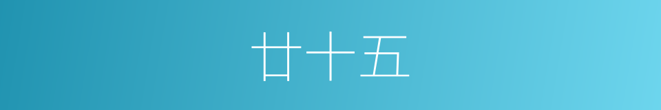 廿十五的同义词
