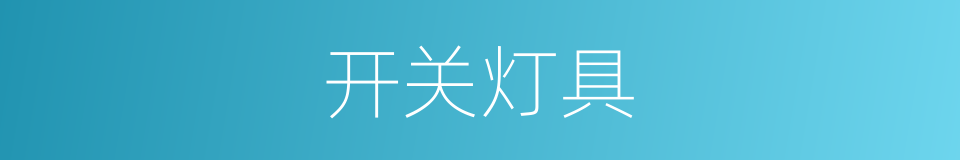 开关灯具的同义词