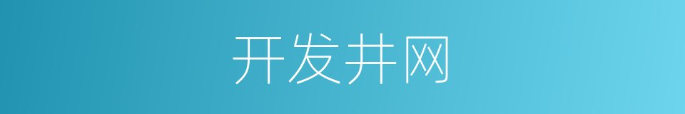 开发井网的同义词