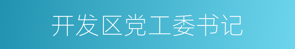 开发区党工委书记的同义词
