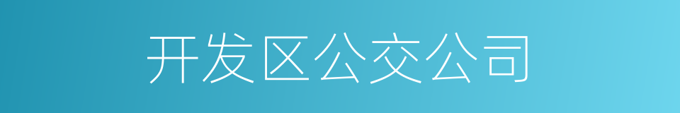 开发区公交公司的同义词