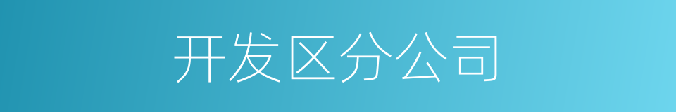 开发区分公司的同义词