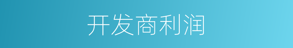 开发商利润的同义词