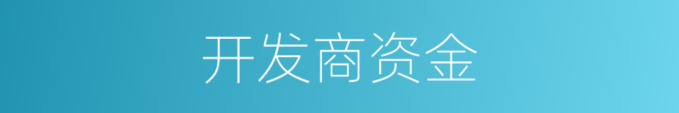 开发商资金的同义词