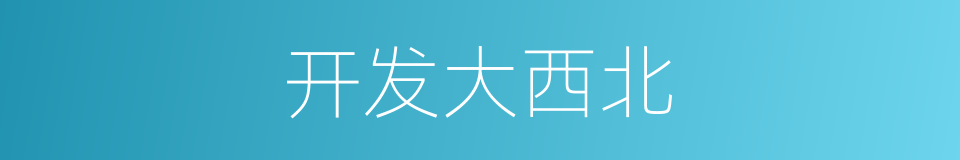 开发大西北的同义词