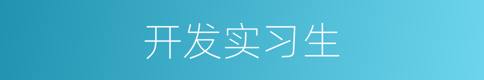 开发实习生的同义词
