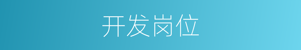 开发岗位的同义词