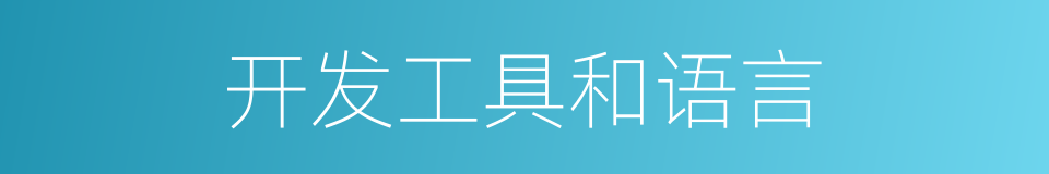 开发工具和语言的同义词