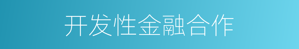 开发性金融合作的同义词