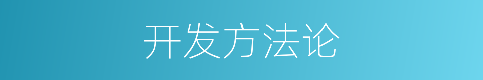 开发方法论的同义词