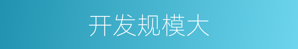 开发规模大的同义词