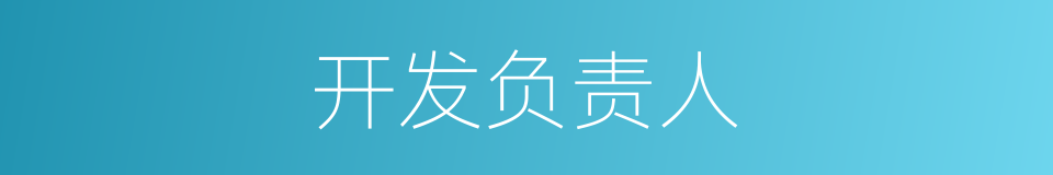 开发负责人的同义词