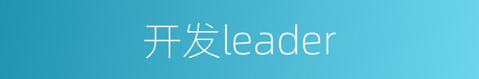 开发leader的同义词