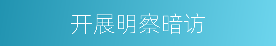 开展明察暗访的同义词