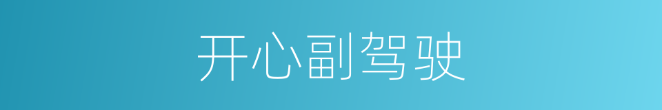 开心副驾驶的同义词