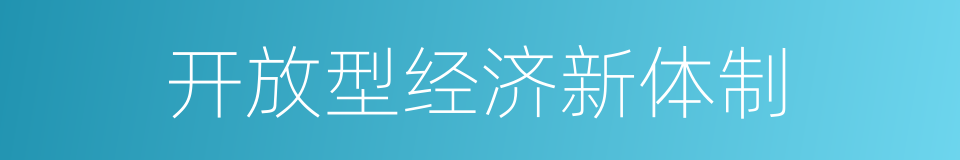 开放型经济新体制的同义词