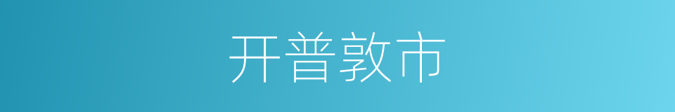开普敦市的同义词