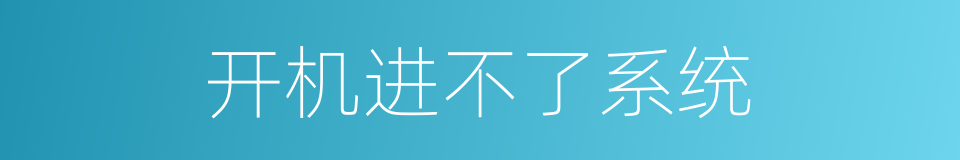 开机进不了系统的同义词