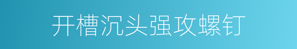 开槽沉头强攻螺钉的同义词