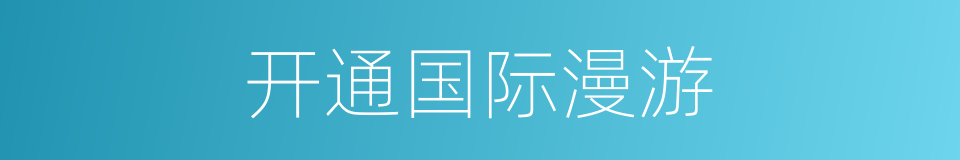 开通国际漫游的同义词