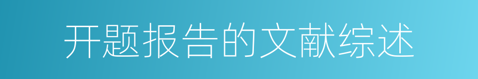 开题报告的文献综述的同义词