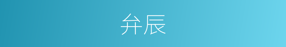 弁辰的意思
