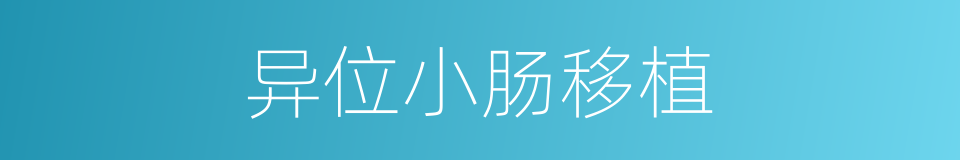 异位小肠移植的同义词