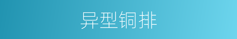异型铜排的同义词