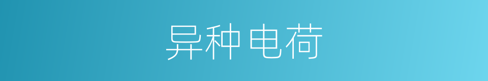 异种电荷的同义词