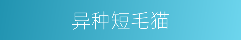 异种短毛猫的同义词