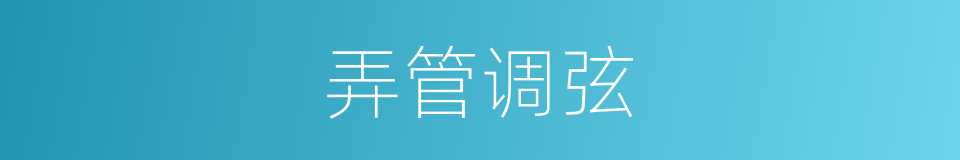 弄管调弦的意思