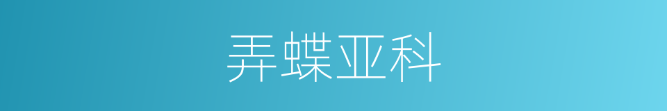 弄蝶亚科的同义词