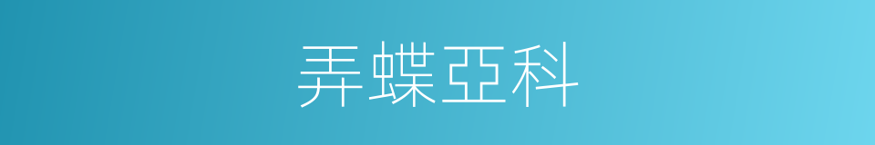 弄蝶亞科的同義詞