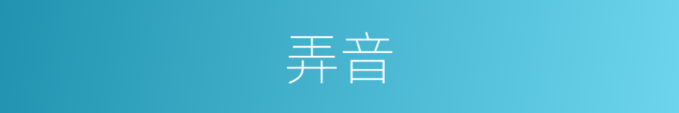 弄音的意思