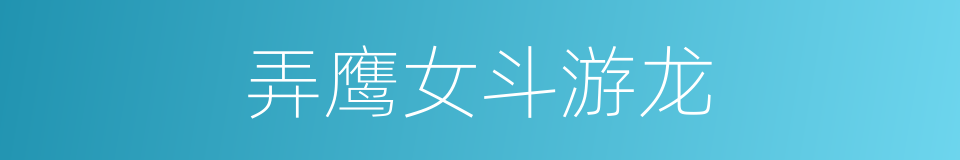 弄鹰女斗游龙的同义词