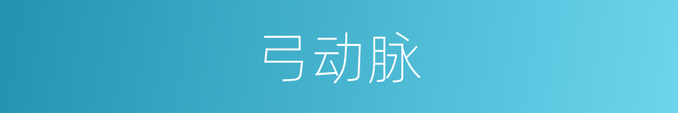 弓动脉的同义词