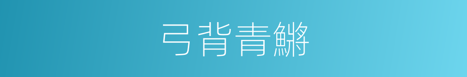 弓背青鱂的同義詞