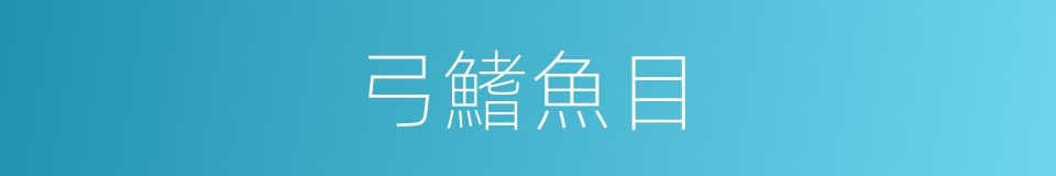 弓鰭魚目的同義詞