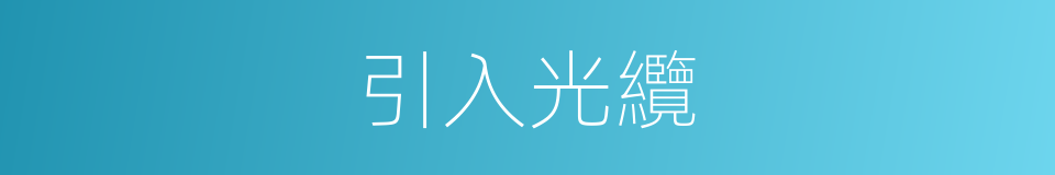 引入光纜的同義詞