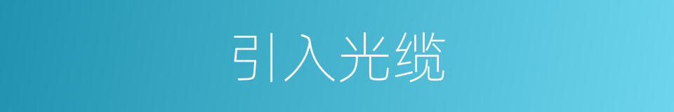 引入光缆的同义词
