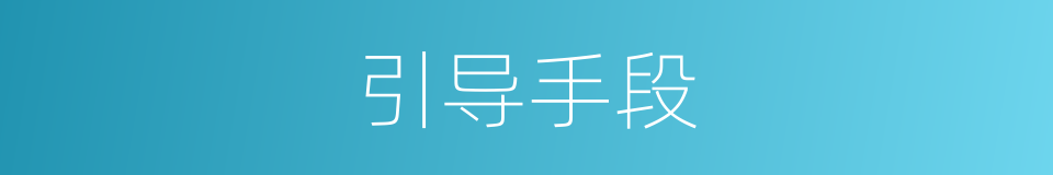 引导手段的同义词