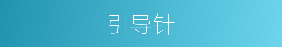 引导针的同义词
