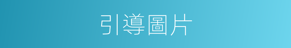 引導圖片的同義詞