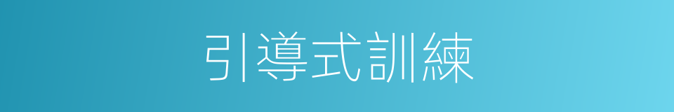引導式訓練的同義詞
