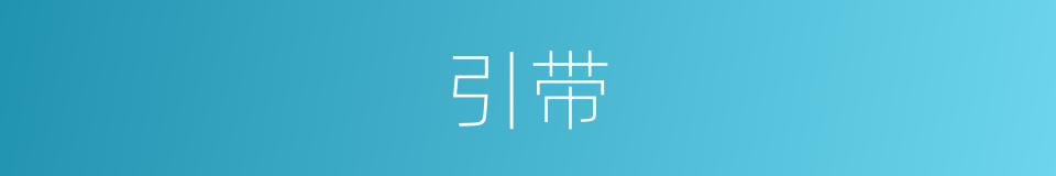 引带的意思