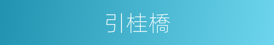 引桂橋的同義詞