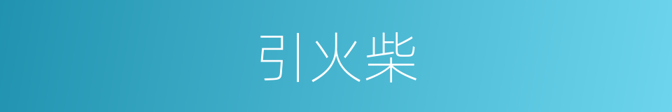 引火柴的意思
